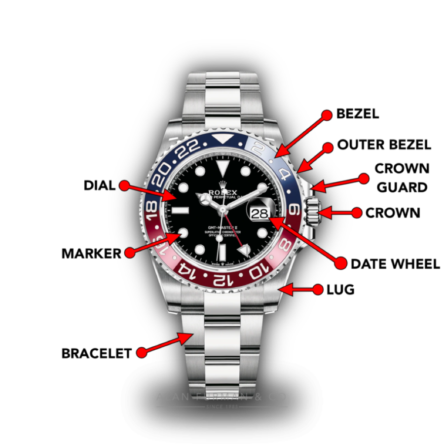 Diagram naming the basic components of a wristwatch