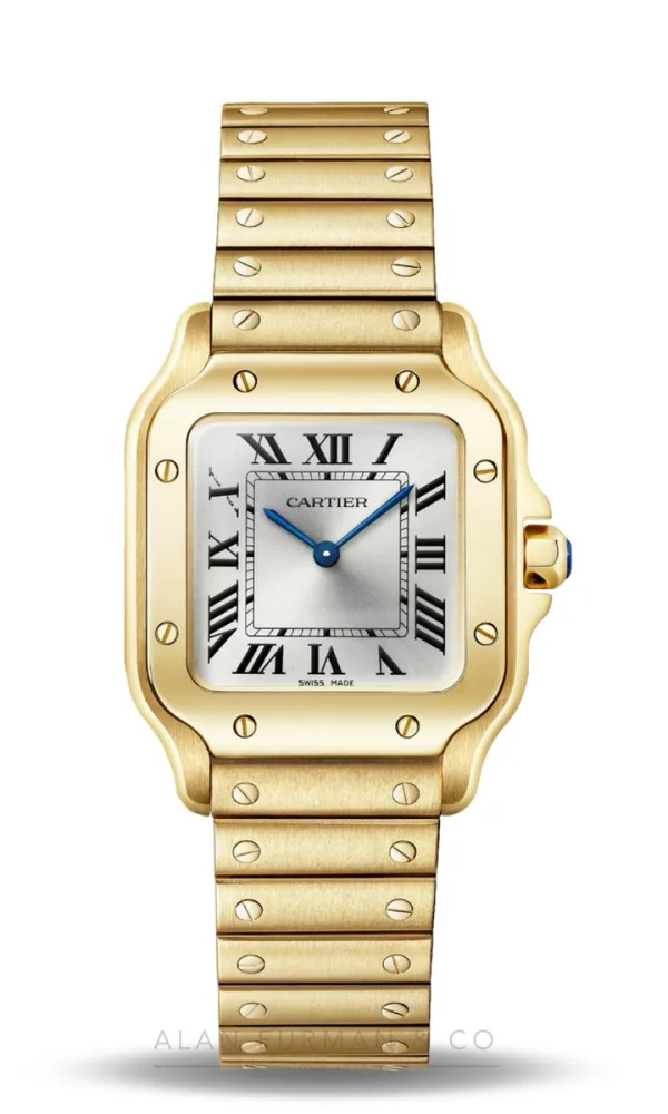 Cartier Santos de Cartier (Ref. WGSA0107)