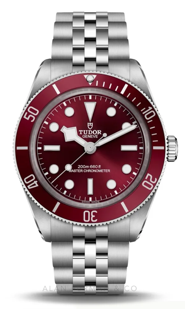 Tudor Black Bay 58 (Ref. M7939A1A0RU-0001)