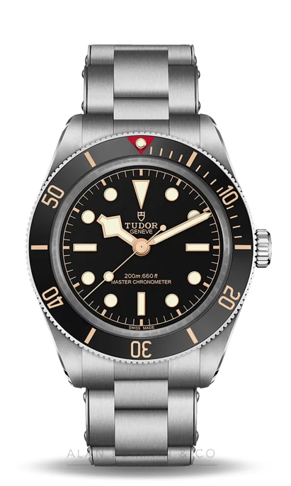 Tudor Black Bay 58 (Ref. M7939A1A0NU-0002)