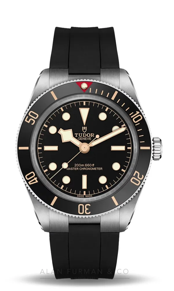 Tudor Black Bay 58 (Ref. M7939A1A0NU-0003)