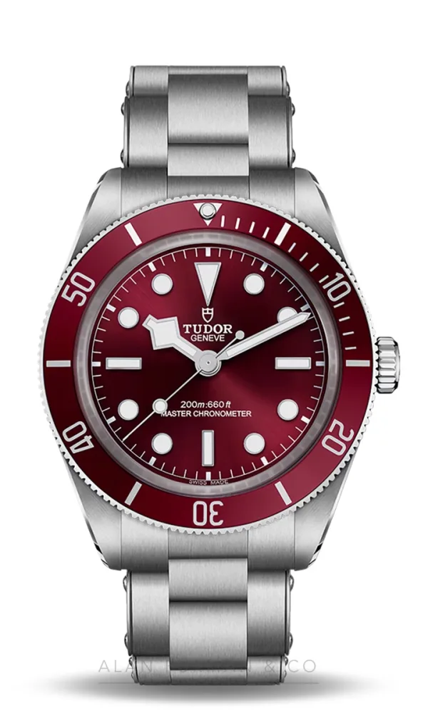 Tudor Black Bay 58 (Ref. M7939A1A0RU-0002)