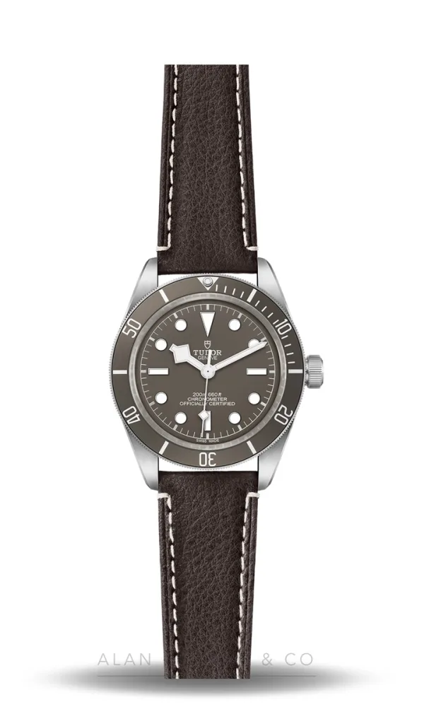 Tudor Black Bay 58 925 (Ref. M79010SG-0001)