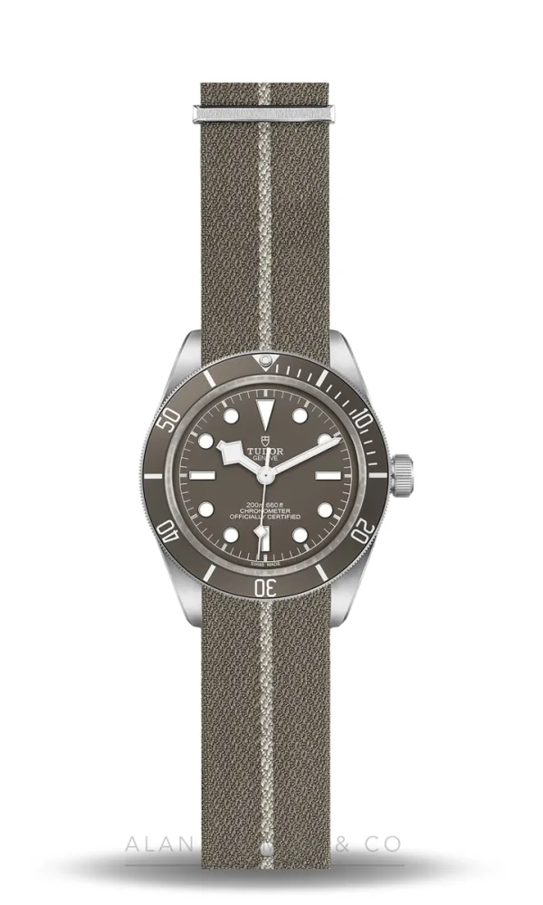 Tudor Black Bay 58 925 (Ref. M79010SG-0002)