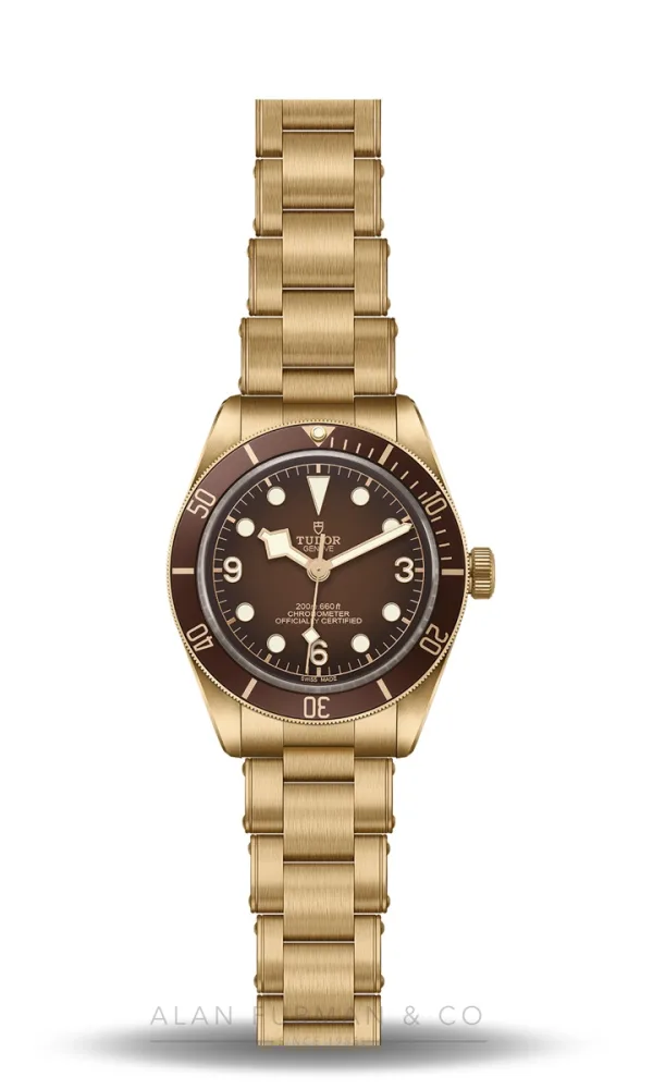 Tudor Black Bay 58 Bronze (Ref. M79012M-0001)