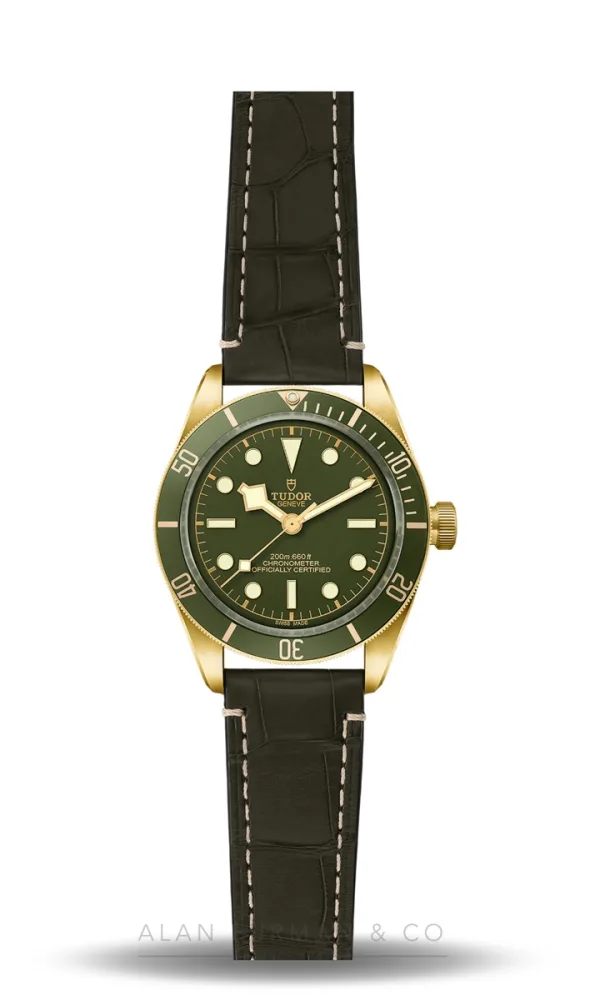 Tudor Black Bay 58 18K (Ref. M79018V-0001)