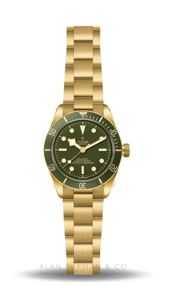 Tudor Black Bay 58 18K (Ref. M79018V-0006)